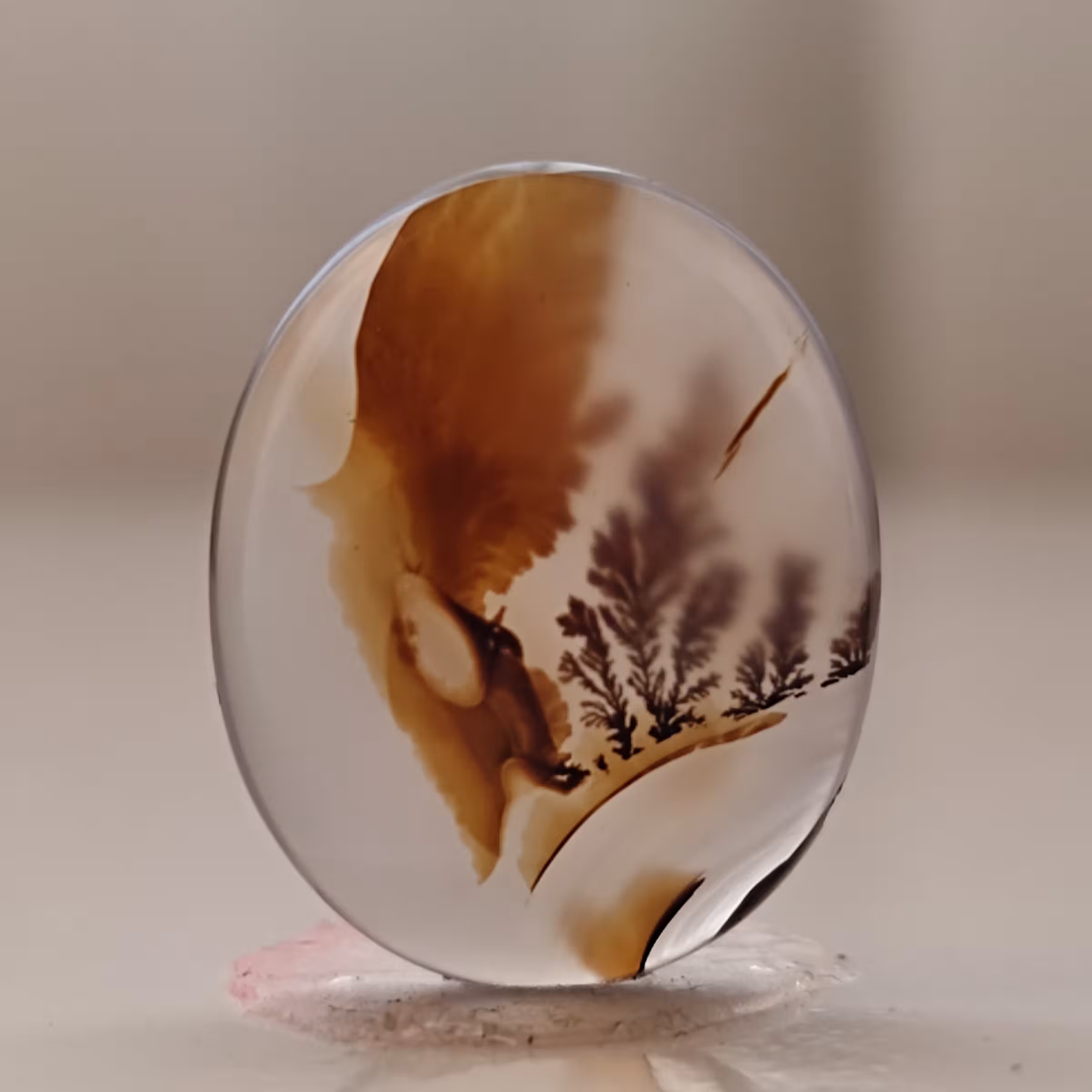 نگین کلکسیونی شجر قاین با منظره ی زیبا و نیم رخ موجودات فرازمینی