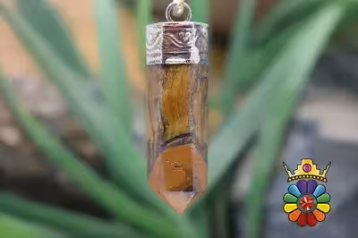 منشور چشم ببر