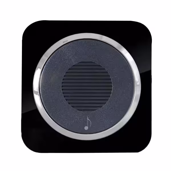 زنگ ملودی آدا پلکسی مشکی زه نقره ای دلند