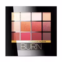 اولاین پالت سایه 12 رنگ 12 گرم مدل BURN شماره 03 EVELINE BURN