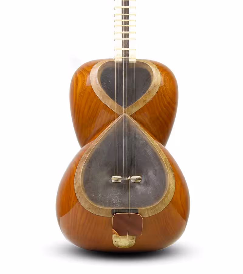 تار علیرضا علیاری دسترنج