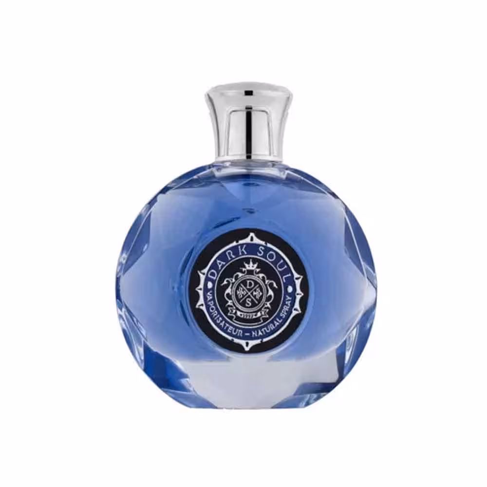 عطر و ادکلن مردانه لوئیس الاویا دارک سول 100 میل