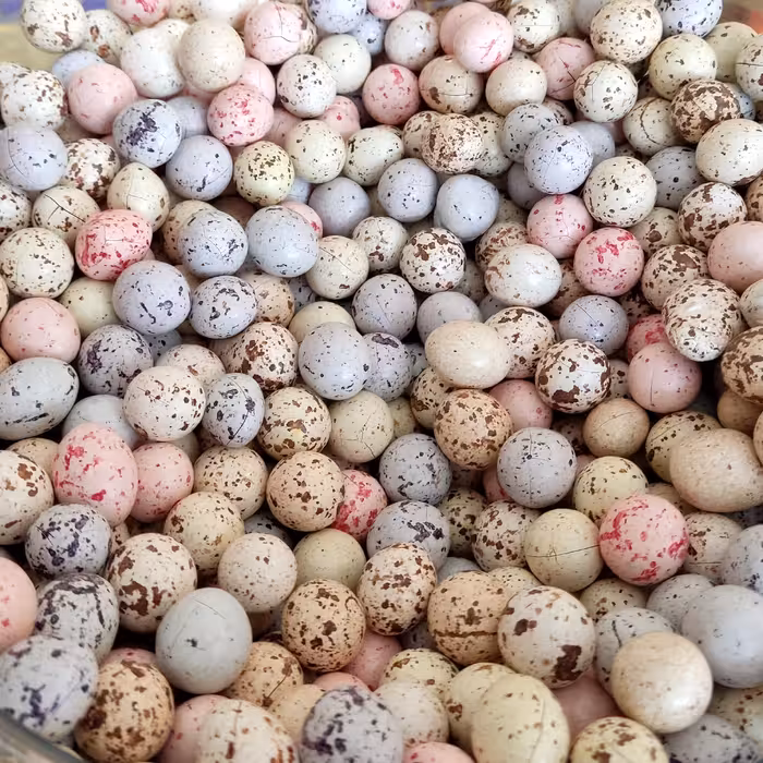 شکلات سنگی بلدرچینی(100 گرم) دراژه تخم بلدرچین