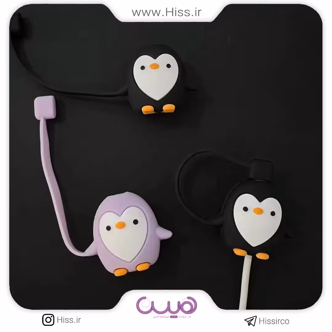 محافظ کابل پنگوئنی