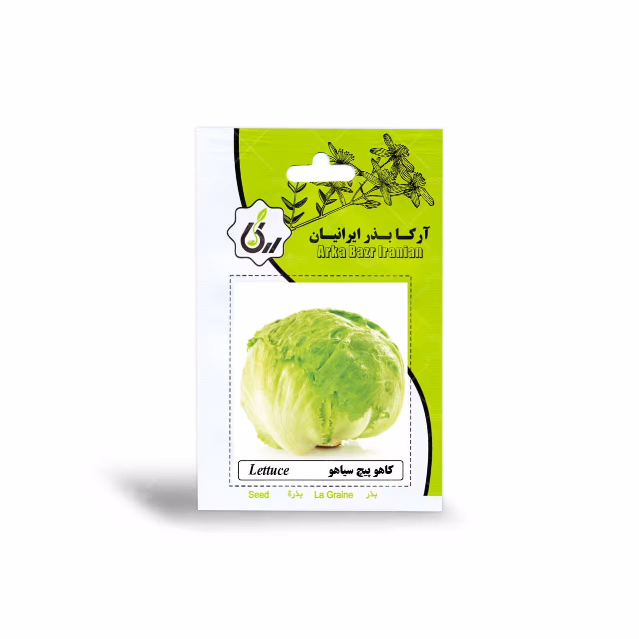 بذر کاهو پیچ سیاهو آرکا بذر ایرانیان
