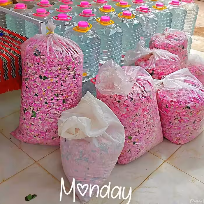 گلاب مخصوص قنادی و بستنی فروشی ها گالن 20 لیتری کامل