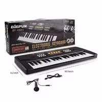 ارگ اسباب بازی برند Bigfun مدل BF-430A2