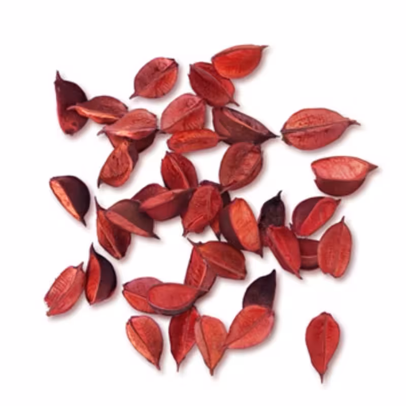 گل خشک قرمز جهت تزیین شمع وزن 100  گرم | amazonchi