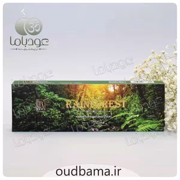 عود دست ساز جنگل بارانی رین فورست RAIN FOREST ( رامو RAMO )