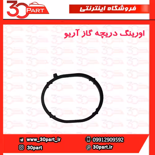 اورینگ دریچه گاز آریو-S300