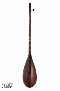 تنبور حسام محمدی کاسه یک تکه