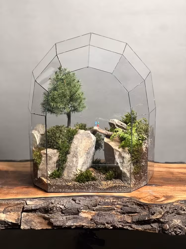 خرید تراریوم بنسای کاج کونیکا طرح دره ی ابر