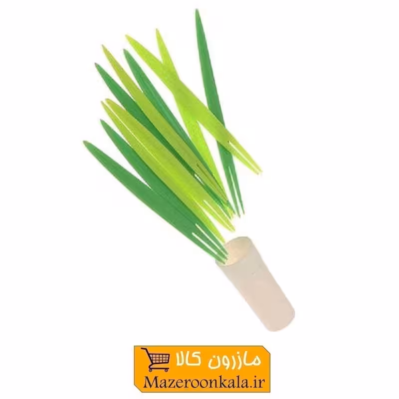 چنگال زیتون و غذا خوری طرح گلدان و چمن 10 عددی HOK-001