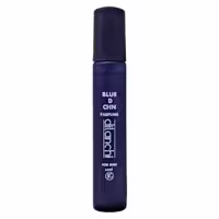 ادکلن جیبی دیلانچی بلو شنل Dilanchi Bleu De Chanel 24ml