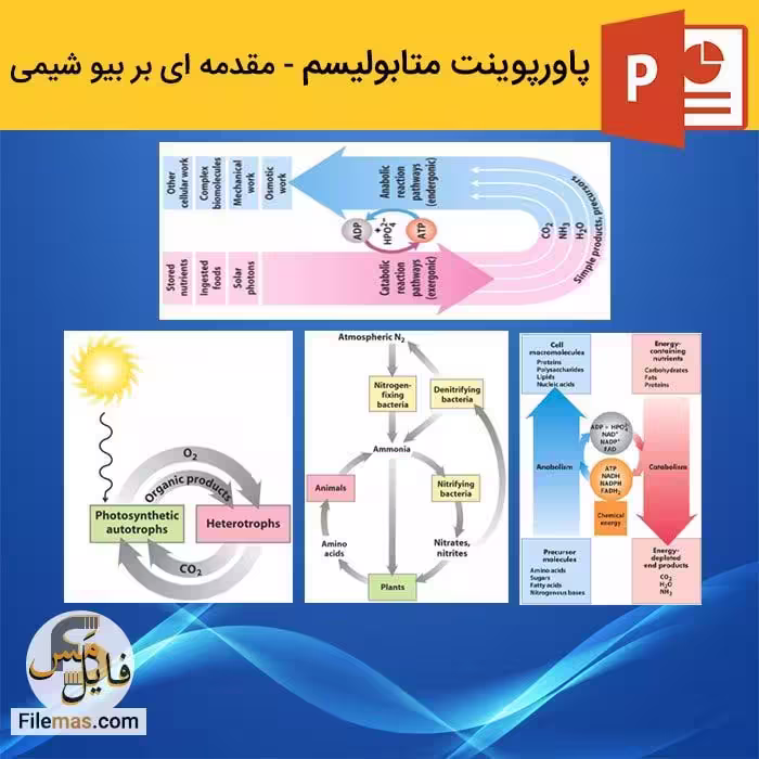 پاورپوینت متابولیسم | درس 6 مقدمه ای بر بیوشیمی