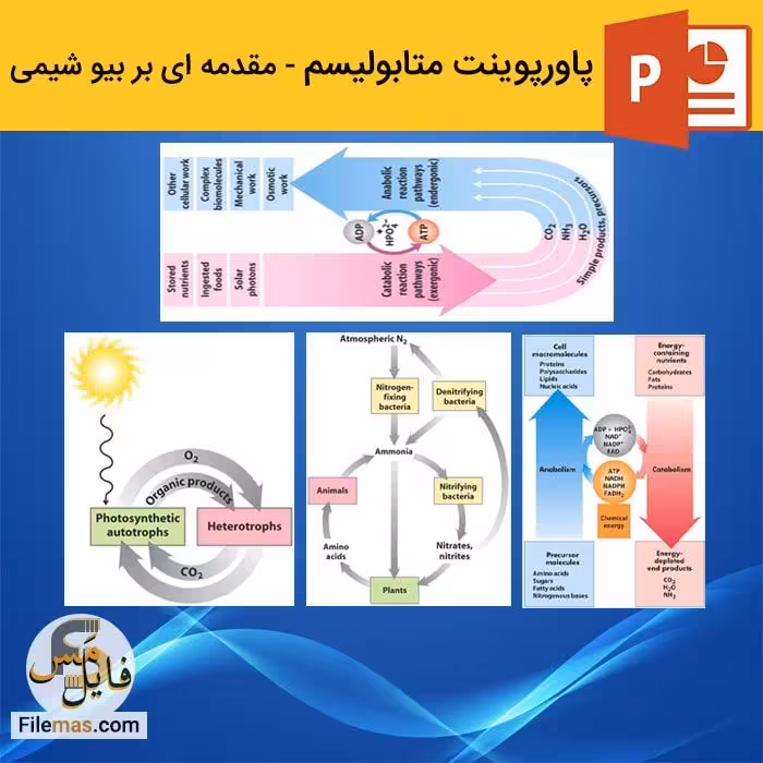 پاورپوینت متابولیسم | درس 6 مقدمه ای بر بیوشیمی