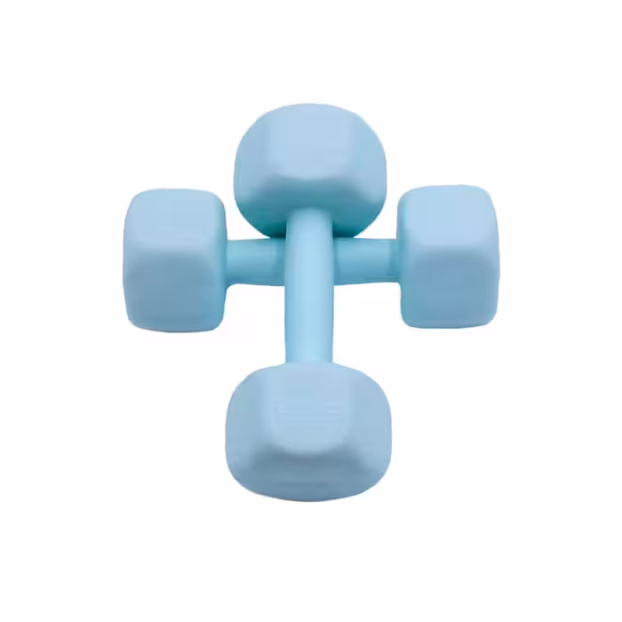 دمبل رادیس فیت مدل RPHF-2000P وزن 2 کیلوگرم بسته بندی دو عددی | کالا مکس