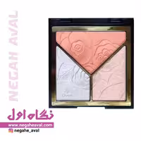 هایلایتر و کانتور پودری سه رنگ اویوا پاریس شماره 03