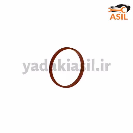 اورینگ منیفولد 206 TU5