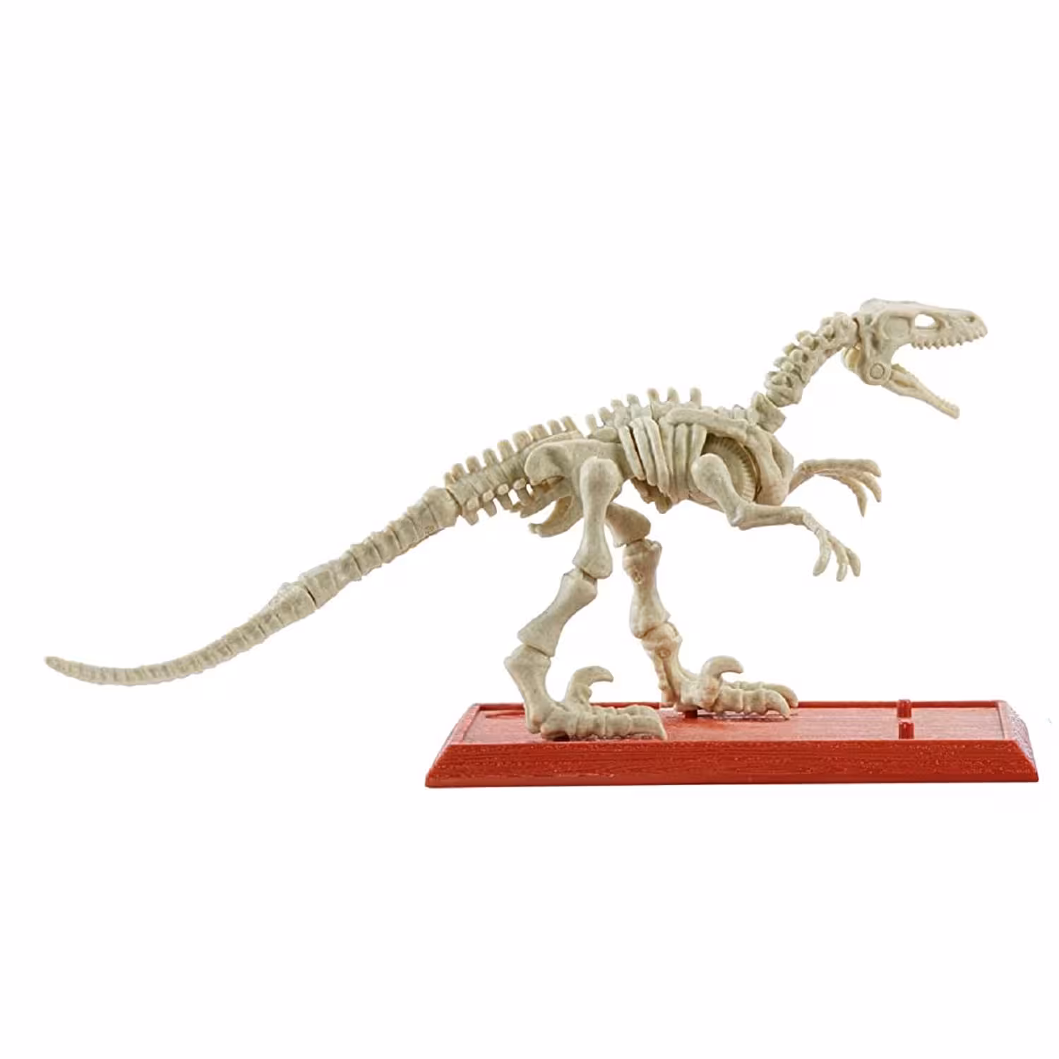 ساختنی دایناسور Velociraptor پارک ژوراسیک