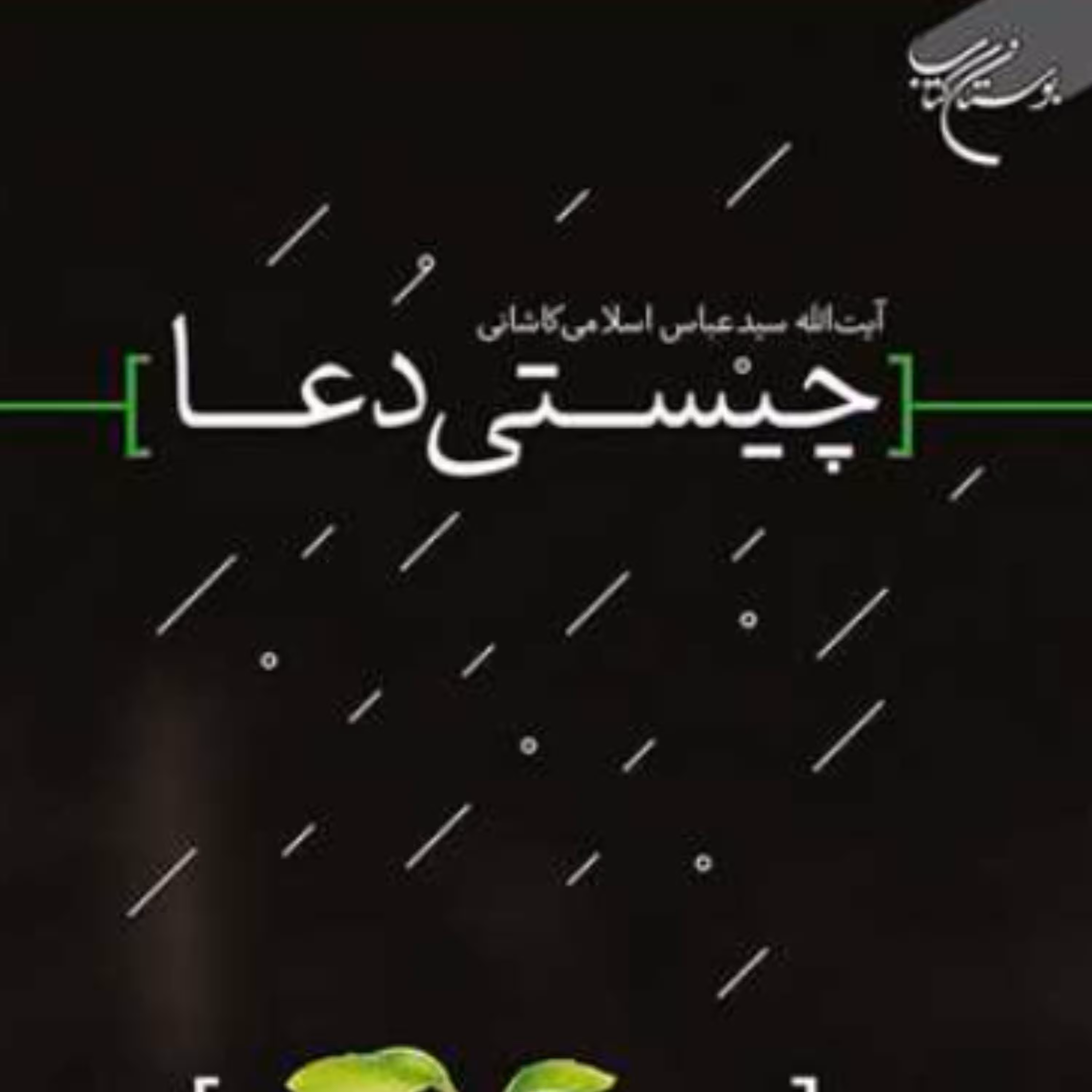 کتاب چیستی دعا اثر  آیت الله سید عباس حسینی اسلامی انتشارات بوستان کتاب