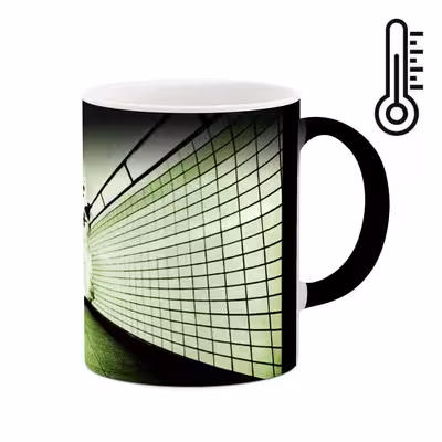 ماگ حرارتی کاکتی طرح فانتزی مدل mgh12423