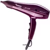 سشوار پرنسلی 2400 وات مدل PR250AT