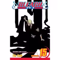 Bleach v15