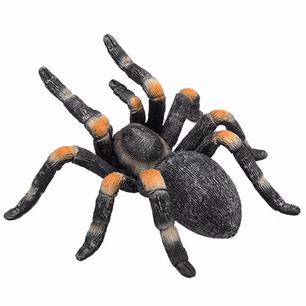 فیگور رتیل MOJO Red kneed Tarantula