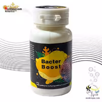 باکتری راه انداز باکتر بوست اسکای شریمپ