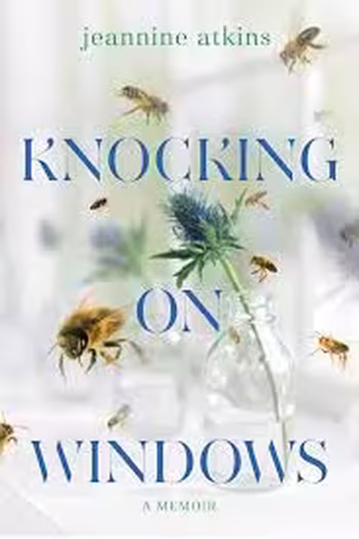 Knocking on Windows