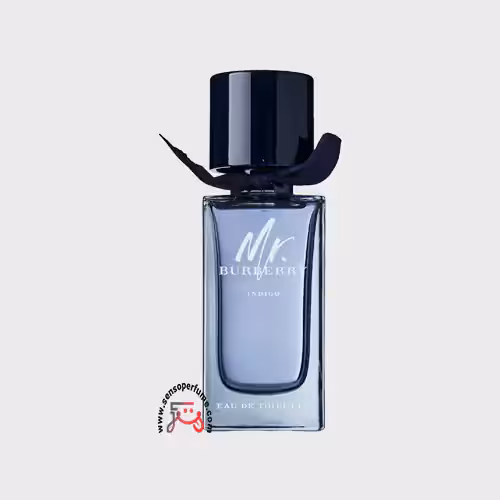 عطر ادکلن مستر باربری ایندیگو | mr. burberry indigo