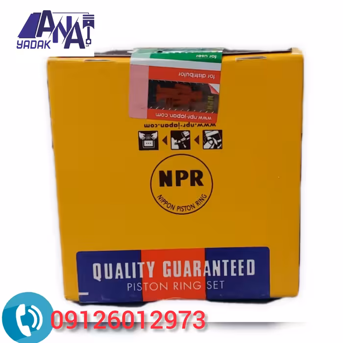 رینگ پیستون استاندارد دوو ریسر NPRژاپنی