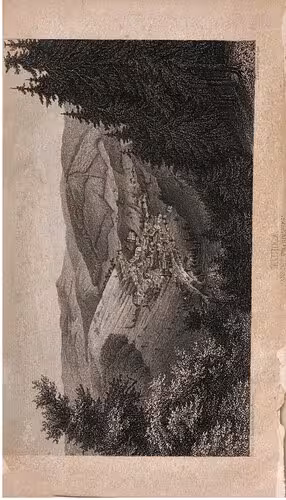 خرید و دانلود نسخه کامل کتاب Das Thüringerwalddorf Ruhla und seine Umgebung. Eine culturgeschichtliche [kulturgeschichtliche] Ortskunde und ein treuer Geleitsmann für Badegäste, Touristen und Einheimische