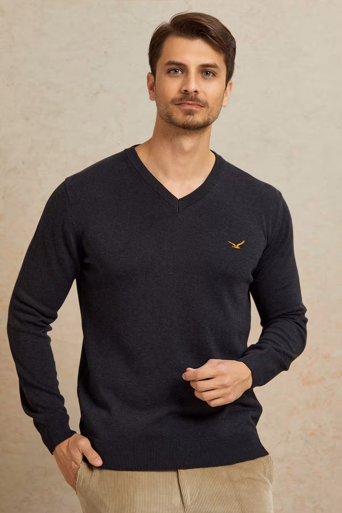 پلیور خاکستری مردانه BORG V NECK &#039;S اورجینال اسمایل SMILE