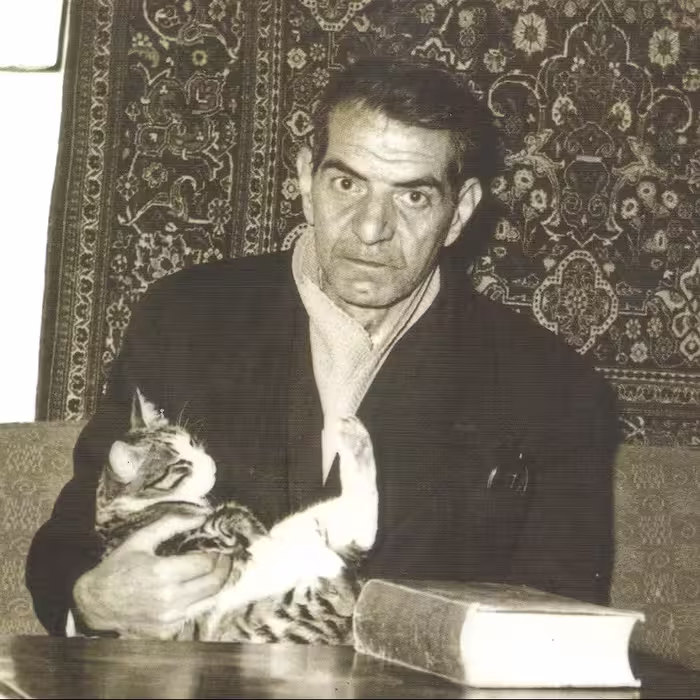 عکس و تابلو استاد شهریار 