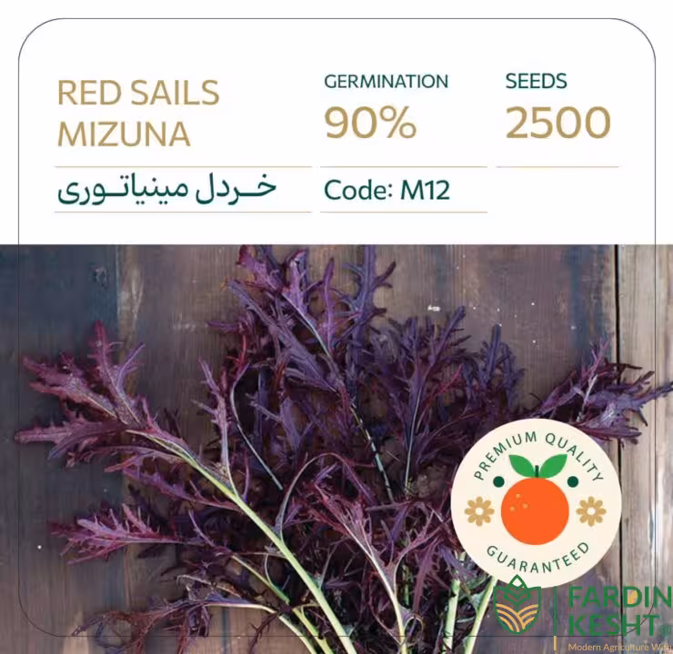 بذر خردل مینیاتوری زرشکی بسته 2500 عددی راشا ⭐