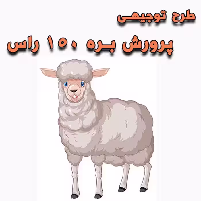 خرید و دانلود طرح توجیهی پرورش بره 150 راس