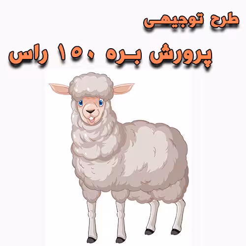 خرید و دانلود طرح توجیهی پرورش بره 150 راس