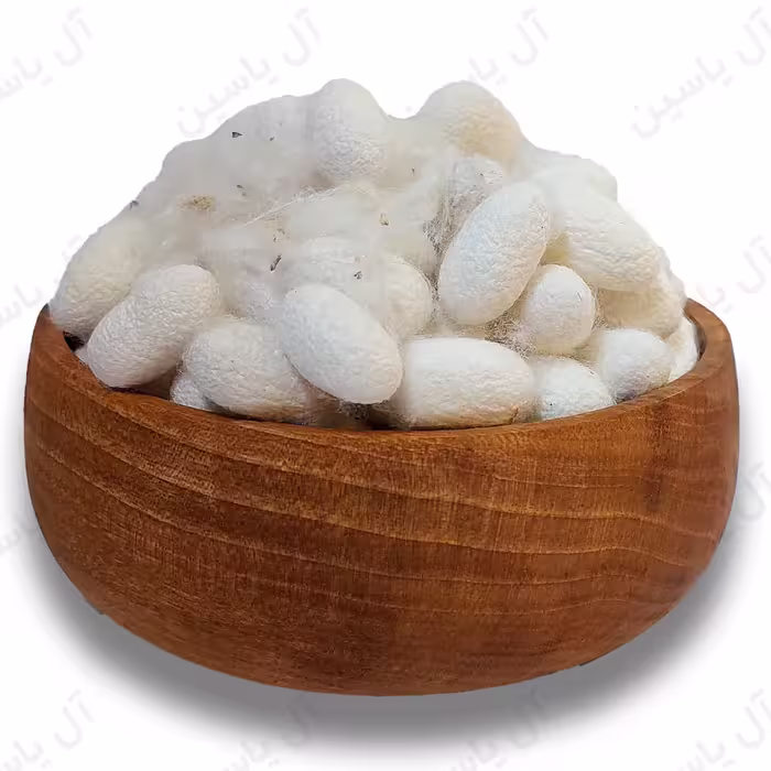 پیله ی ابریشمی هرعدد