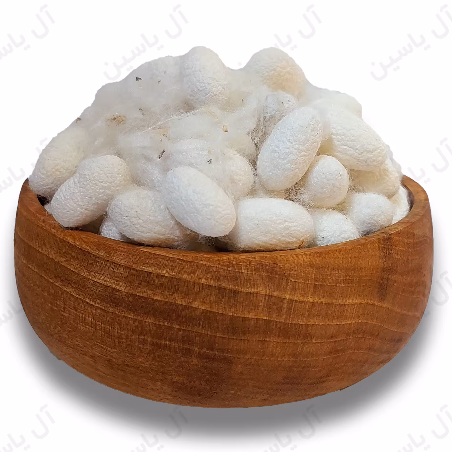 پیله ی ابریشمی هرعدد