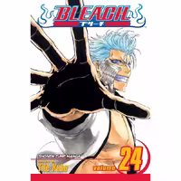 Bleach v24