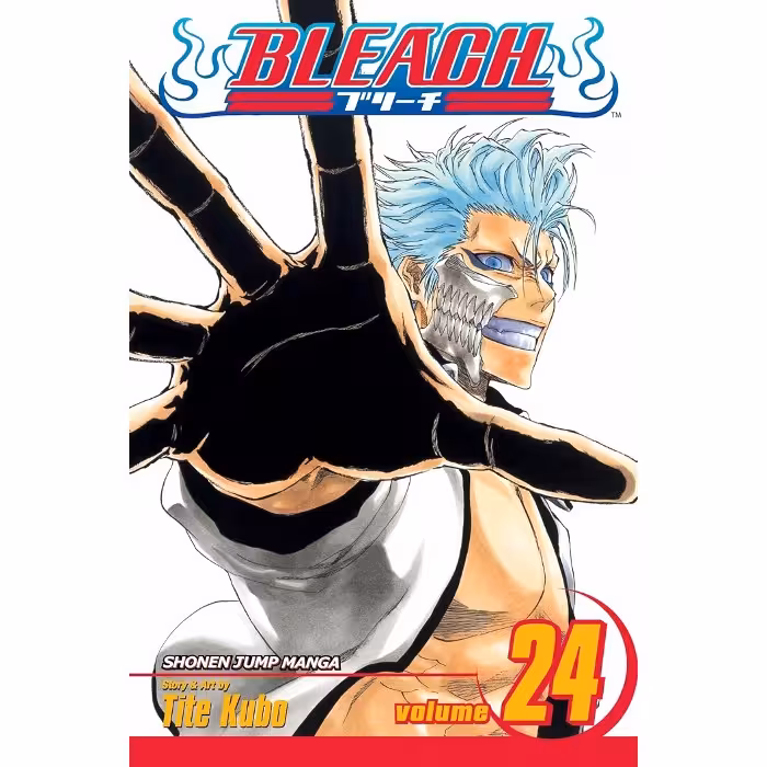 Bleach v24