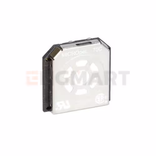 سنسور LEL برای گازسنج BW مدل MAX XT II