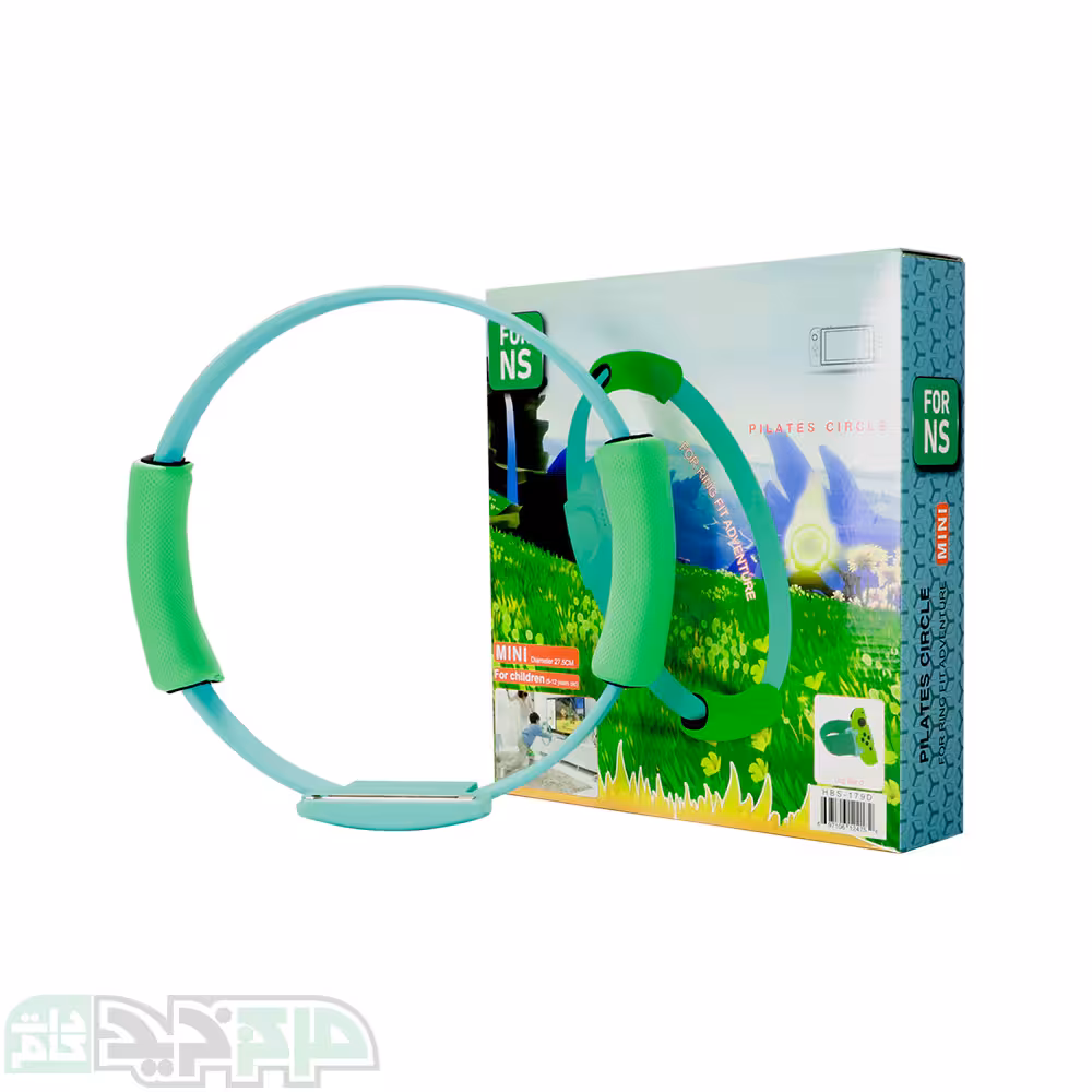 مینی حلقه ورزشی نینتندو سوییچ مدل HBS-179D