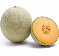 بذر گرمک ایرانی