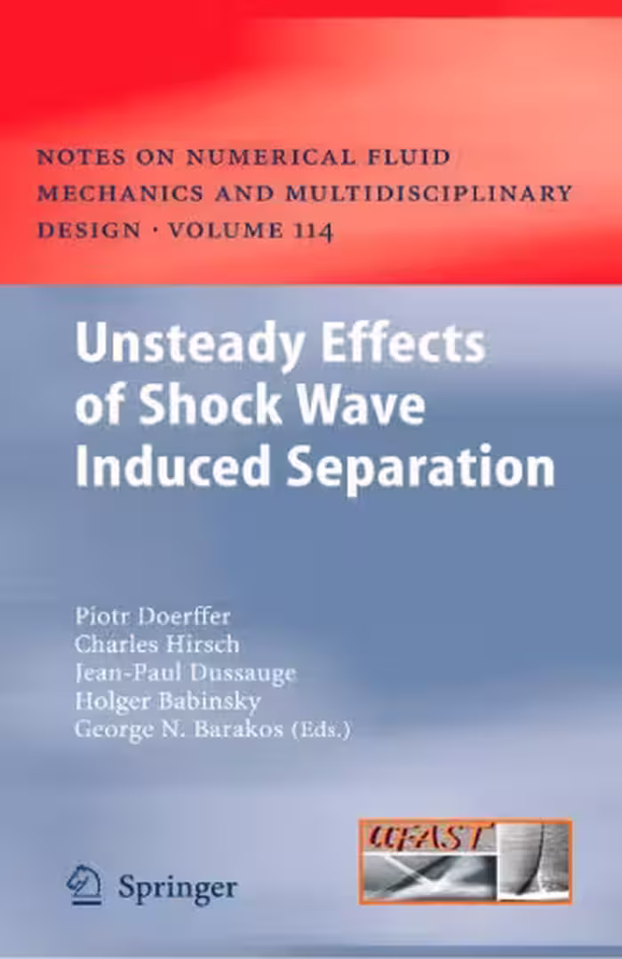 خرید و دانلود نسخه کامل کتاب Unsteady Effects of Shock Wave Induced Separation