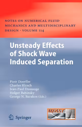 خرید و دانلود نسخه کامل کتاب Unsteady Effects of Shock Wave Induced Separation