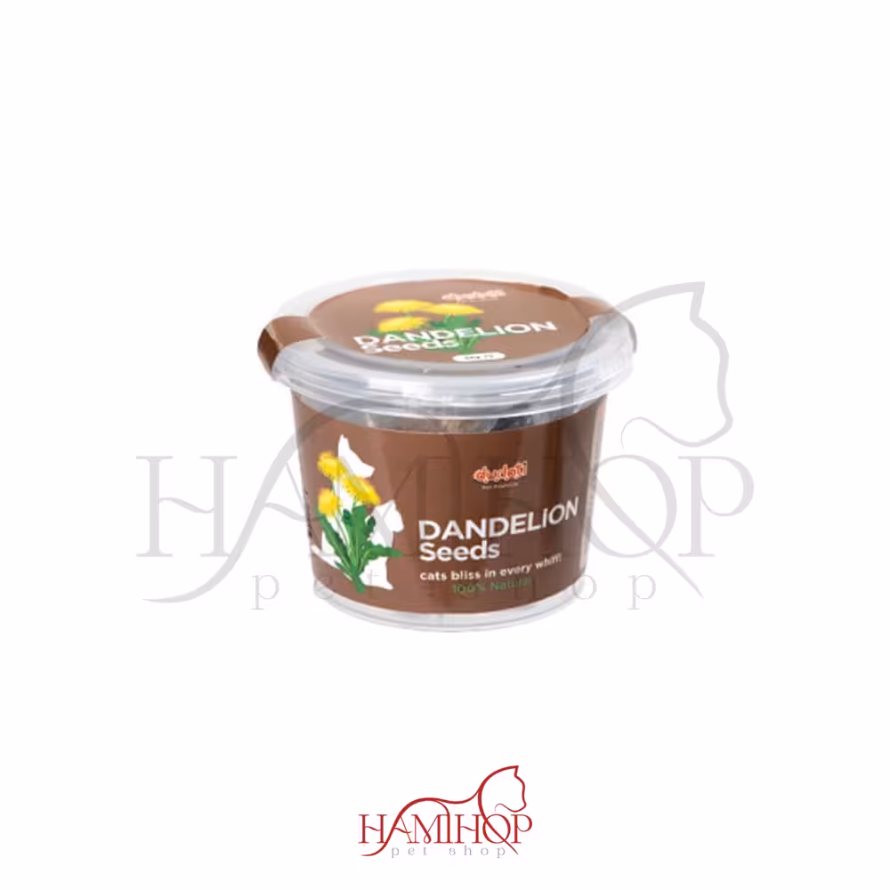 بذر گل دندلیون گربه دودوتی Dudoti Dandelion Seeds وزن 80 گرم