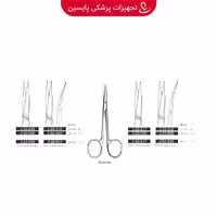 استیونس راست